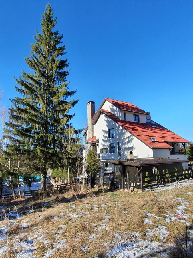 Hotel Vila Berlin Poiana Brașov Exterior foto